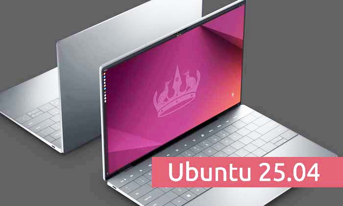 Laptop showing the Ubuntu Linux 25.04 welcome screen at startup